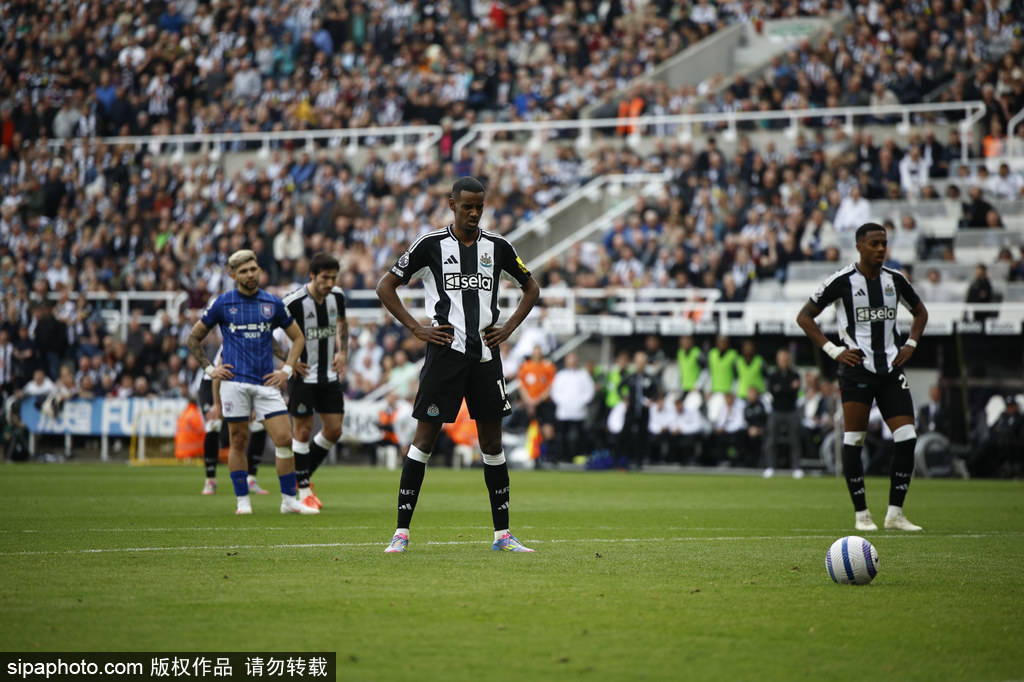 高的要求 高的要求