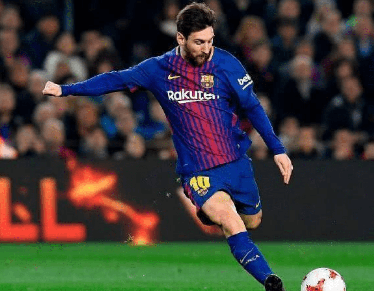 雪貂的外貌 雪貂的外貌